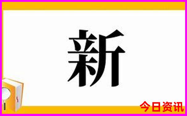 随时问app下载免费下载
